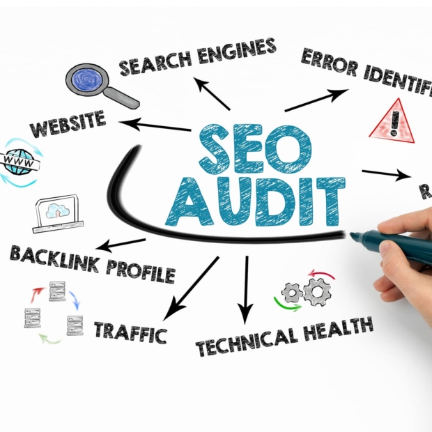 website audit